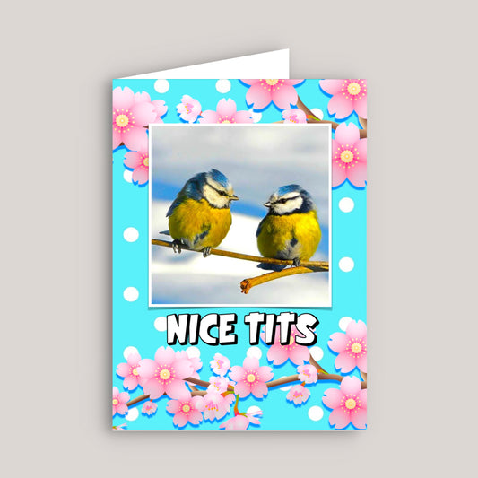 NICE TITS GREETINGS CARD