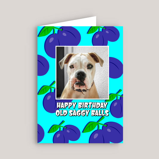 HAPPY BIRTHDAY OLD SAGGY BALLS GREETINGS CARD