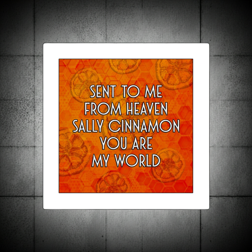 SALLY CINNAMON  PRINT