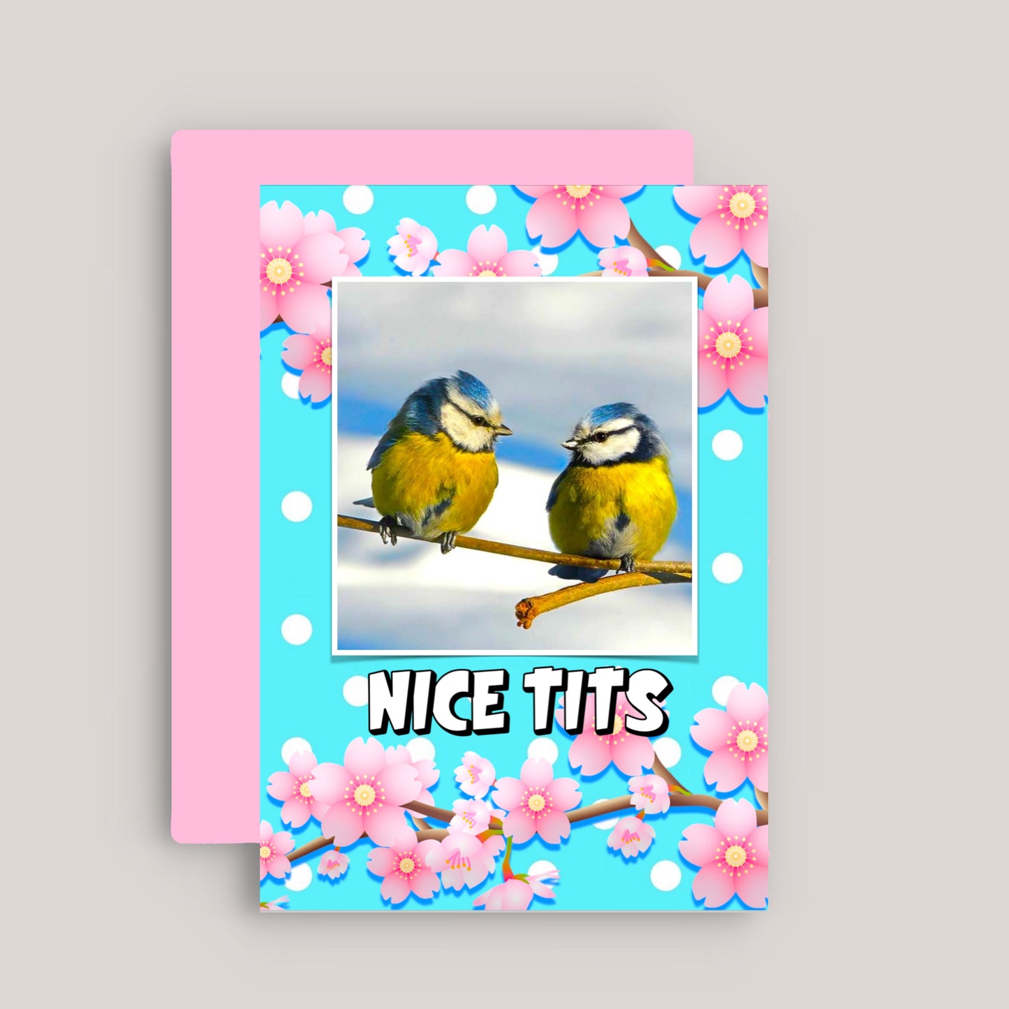NICE TITS GREETINGS CARD