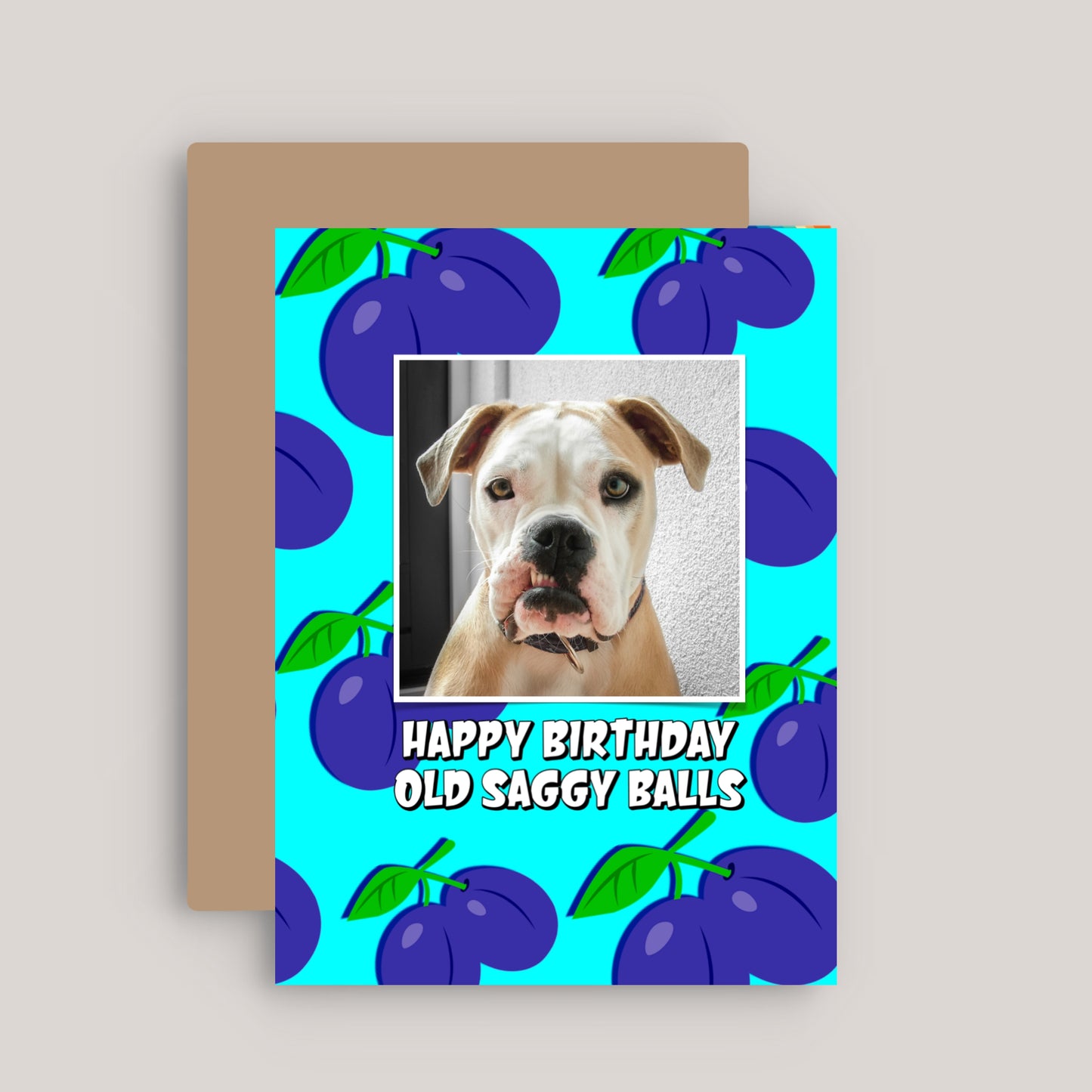 HAPPY BIRTHDAY OLD SAGGY BALLS GREETINGS CARD