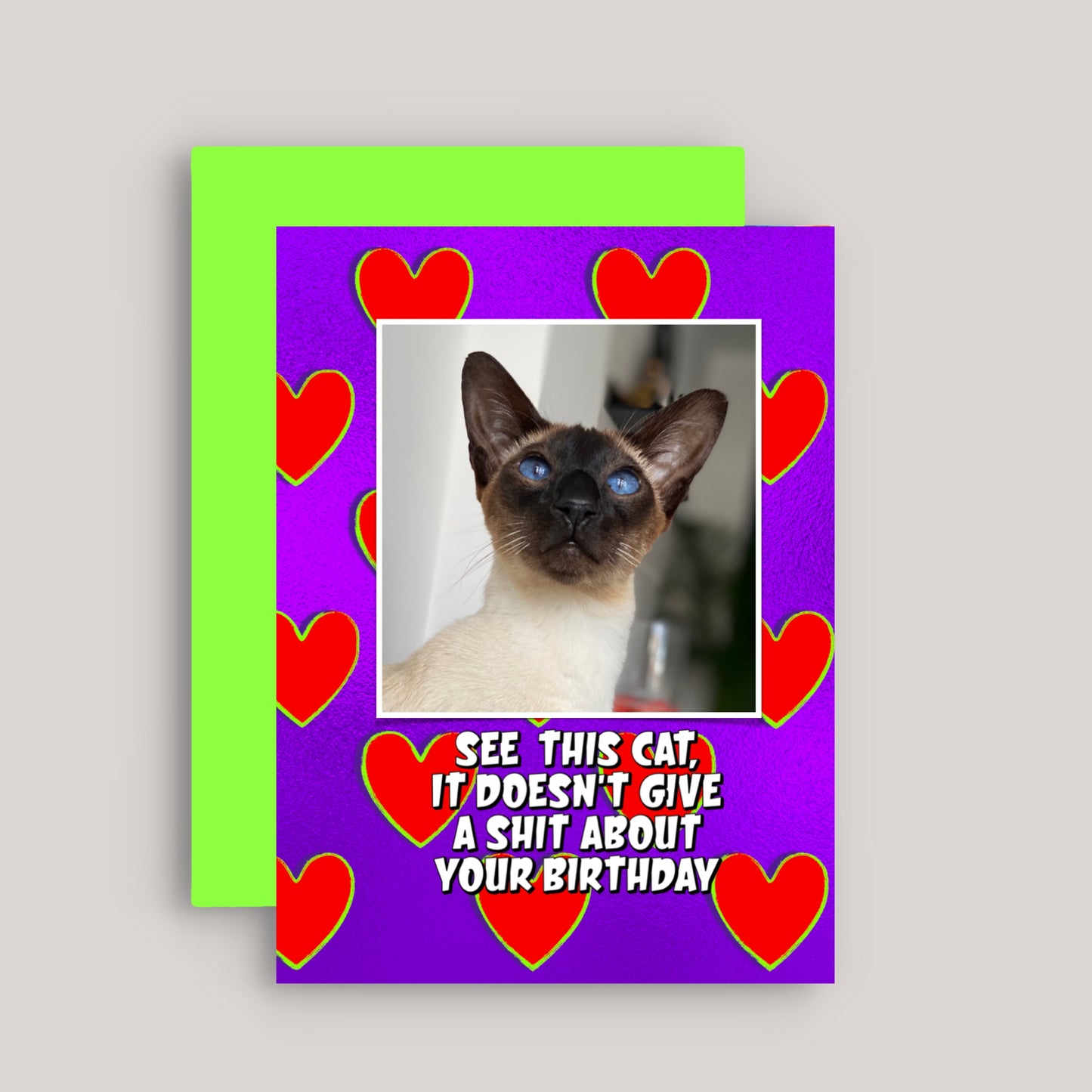 SEE THIS CAT GREETINGS CARD