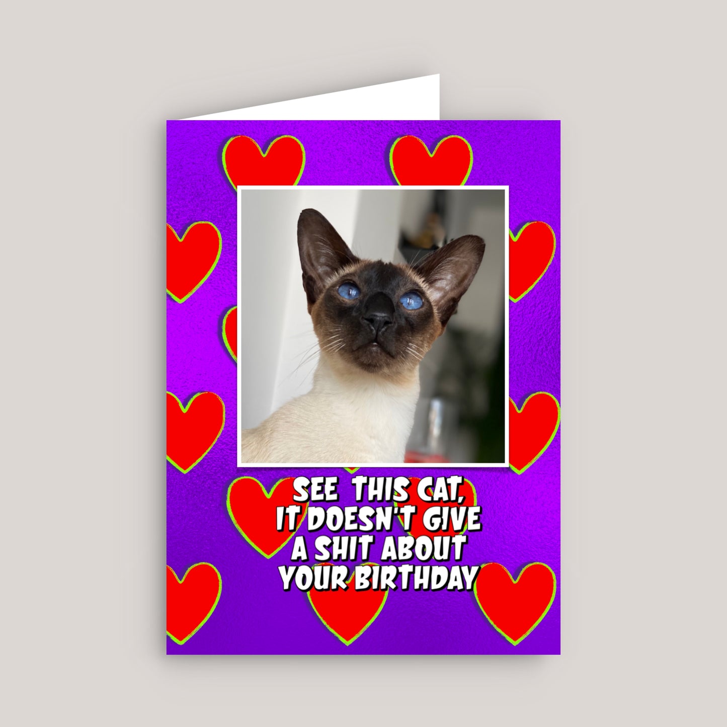 SEE THIS CAT GREETINGS CARD